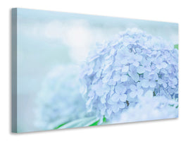 5-piece-canvas-print-the-hydrangea