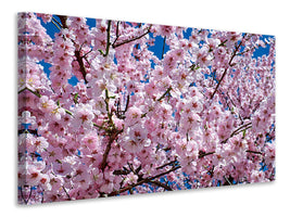 panoramic-3-piece-canvas-print-the-japanese-cherry