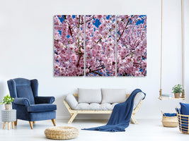 panoramic-canvas-print-the-japanese-cherry