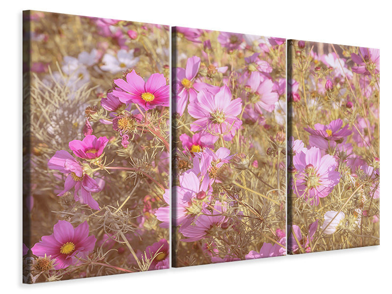 canvas-print-the-jewelry-basket-cosmea
