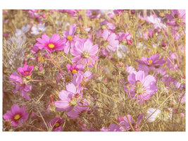 modern-3-piece-canvas-print-the-jewelry-basket-cosmea