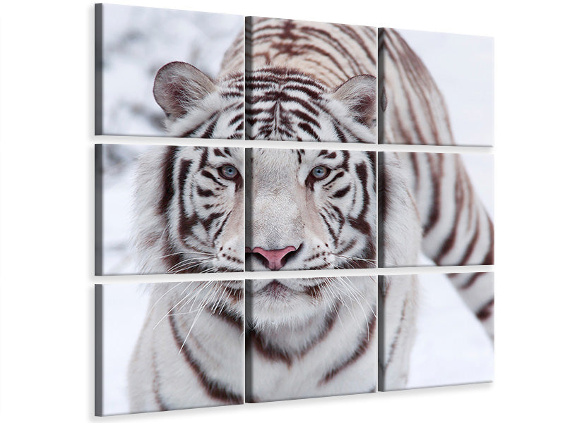 canvas-print-the-king-tiger