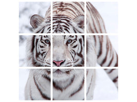 canvas-print-the-king-tiger