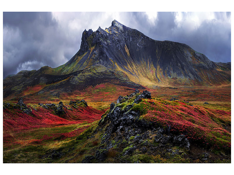 4-piece-canvas-print-the-lady-of-snaefellsnes