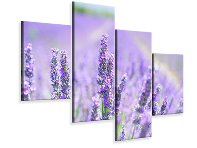 5-piece-canvas-print-the-lavender-blossom