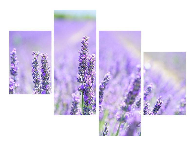 5-piece-canvas-print-the-lavender-blossom