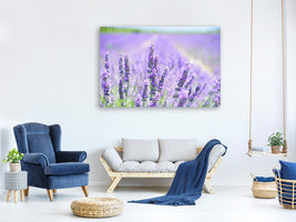 modern-3-piece-canvas-print-the-lavender-blossom