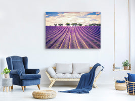 panoramic-3-piece-canvas-print-the-lavender-field-ii