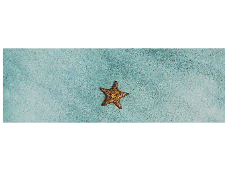 canvas-print-the-little-starfish