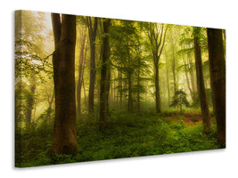 5-piece-canvas-print-the-little-tree