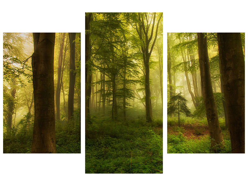 panoramic-canvas-print-the-little-tree