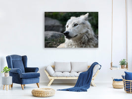 3-piece-canvas-print-the-lonely-wolf