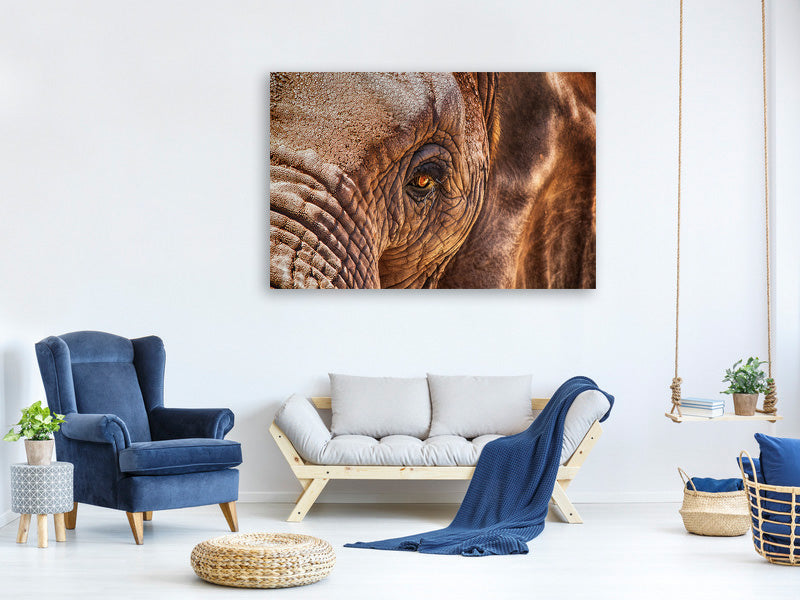 panoramic-3-piece-canvas-print-the-look-of-the-elephant