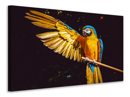 3-piece-canvas-print-the-macaw