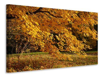 3-piece-canvas-print-the-magnificent-autumn-tree