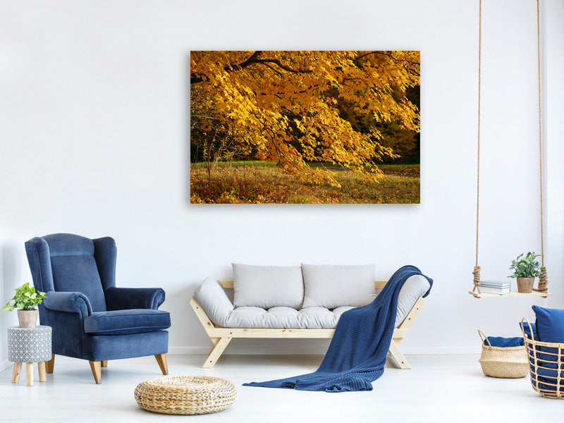 3-piece-canvas-print-the-magnificent-autumn-tree