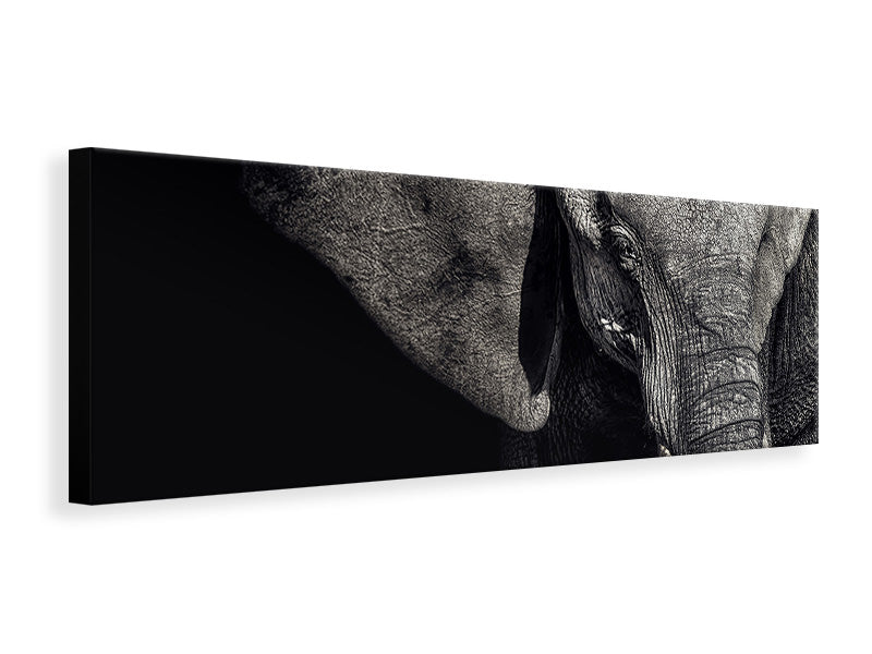 canvas-print-the-matriarch