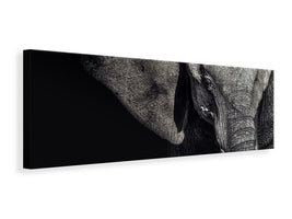 3-piece-canvas-print-the-matriarch
