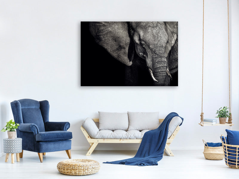 3-piece-canvas-print-the-matriarch