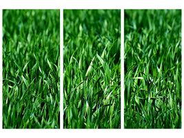 modern-4-piece-canvas-print-the-meadow-in-xl