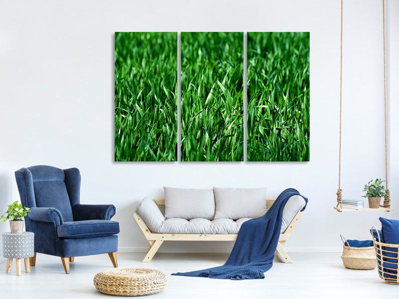 4-piece-canvas-print-the-meadow-in-xl