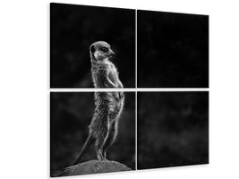 canvas-print-the-meerkat