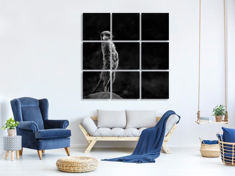 canvas-print-the-meerkat