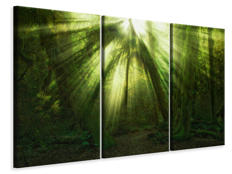 canvas-print-the-miracle