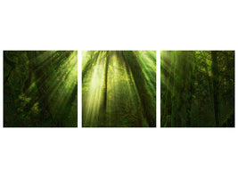 3-piece-canvas-print-the-miracle