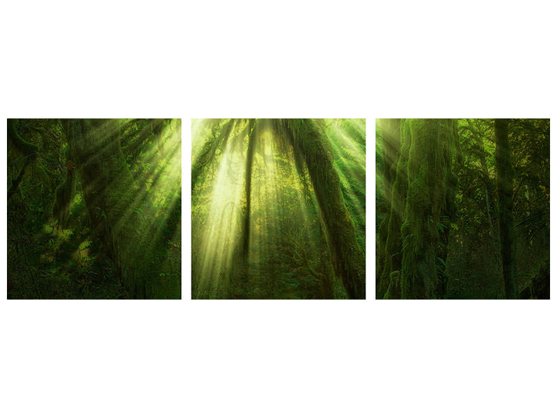 3-piece-canvas-print-the-miracle