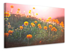 panoramic-3-piece-canvas-print-the-mountain-meadow