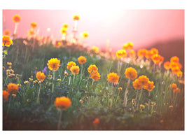 panoramic-3-piece-canvas-print-the-mountain-meadow