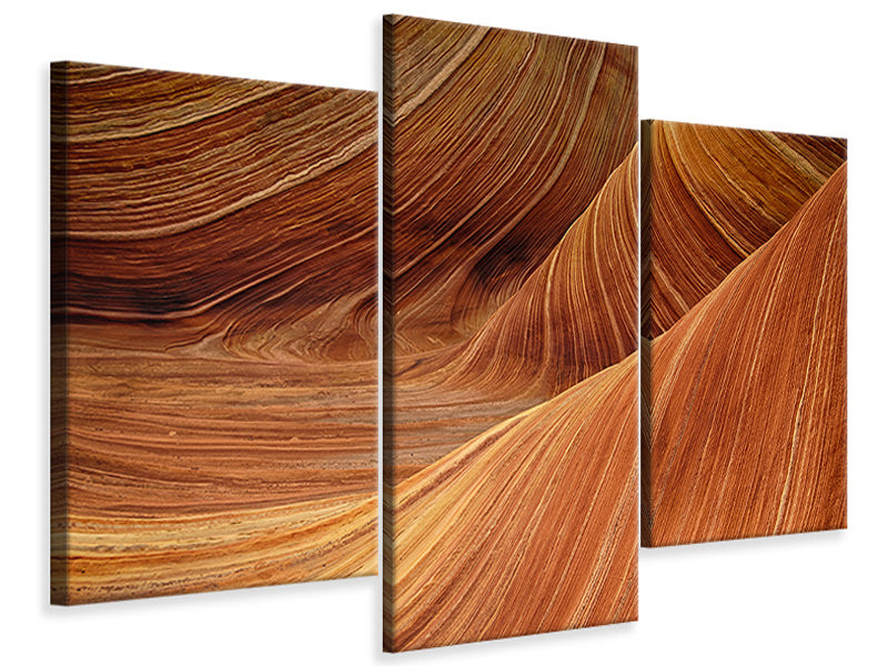 panoramic-3-piece-canvas-print-the-movement