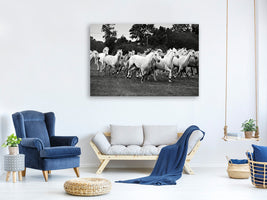 4-piece-canvas-print-the-mustang-herd