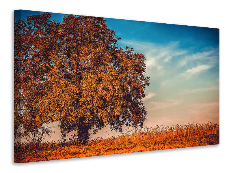 3-piece-canvas-print-the-nut-tree