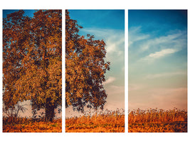 canvas-print-the-nut-tree