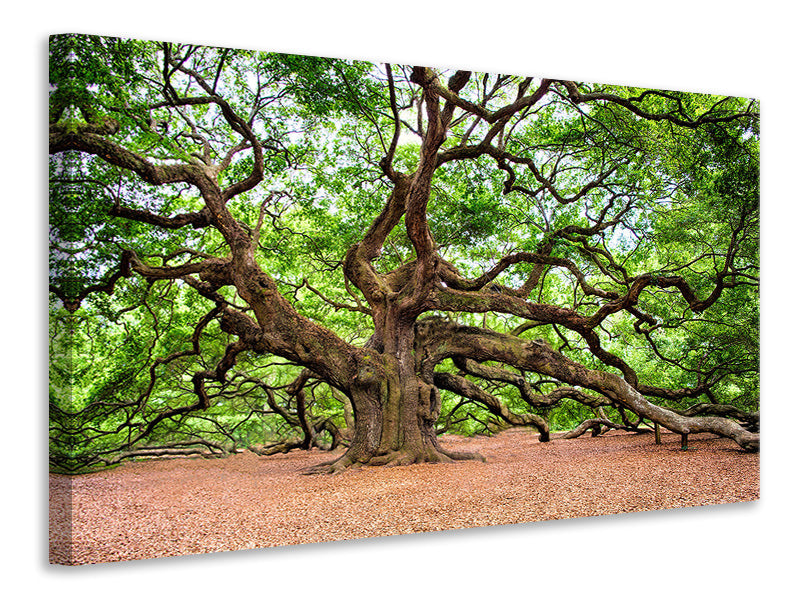 modern-4-piece-canvas-print-the-oak