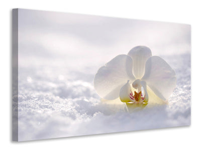 3-piece-canvas-print-the-orchids-bloom