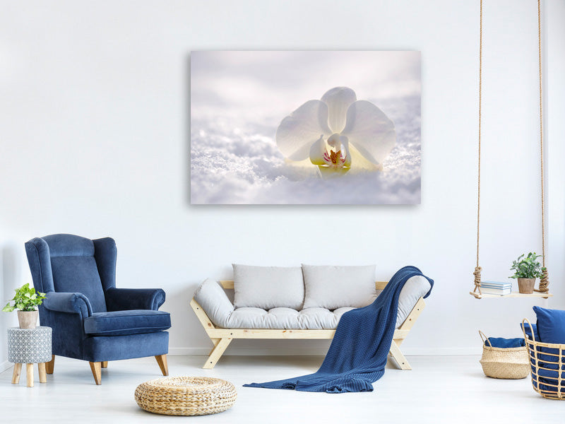 3-piece-canvas-print-the-orchids-bloom