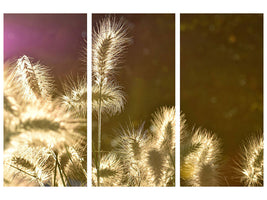 canvas-print-the-ornamental-grass