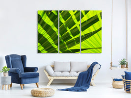 panoramic-canvas-print-the-palm-leaf-in-xl