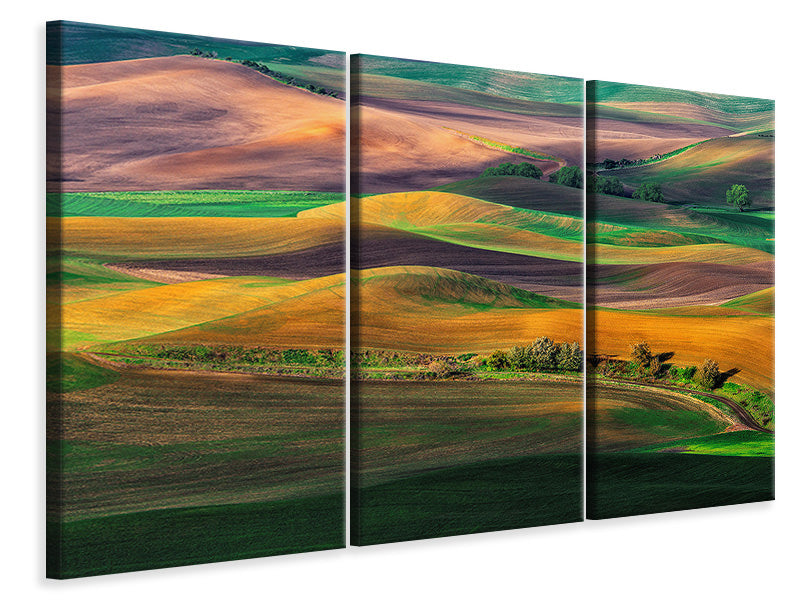 canvas-print-the-palouse