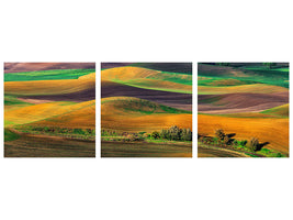 5-piece-canvas-print-the-palouse