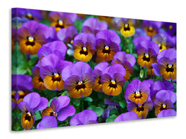 modern-4-piece-canvas-print-the-pansies