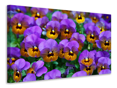 modern-3-piece-canvas-print-the-pansies