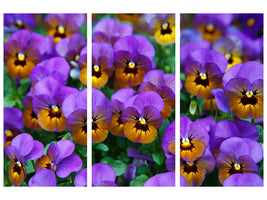 5-piece-canvas-print-the-pansies