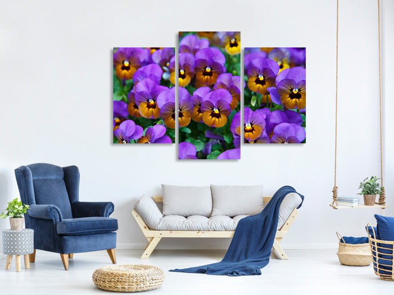 3-piece-canvas-print-the-pansies
