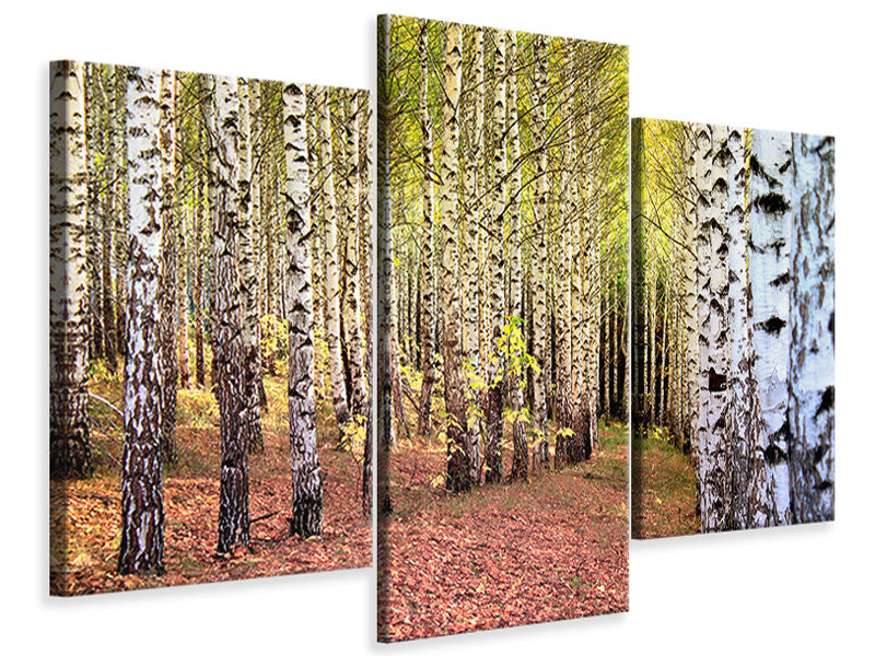 4-piece-canvas-print-the-path-between-birches