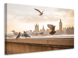panoramic-canvas-print-the-pigeons-on-the-roof
