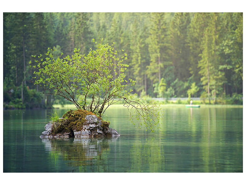 3-piece-canvas-print-the-pond-in-the-forest